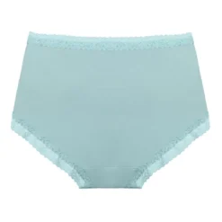 Agnes Orinda Women Plus Mid Waisted Lace Trim Soft Breathable Stretch Briefs Underwear